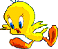 bird5.gif