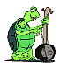 turtle.gif